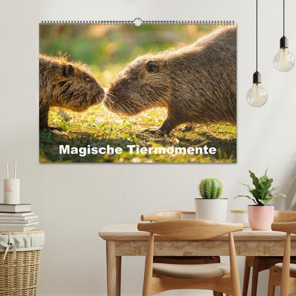 Produktbild: Magische Tiermomente (Wandkalender 2026 DIN A2 quer), CALVENDO Monatskalender