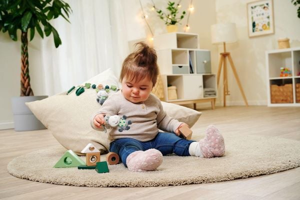 Produktbild: EH Baby HiPP Soundbausteine