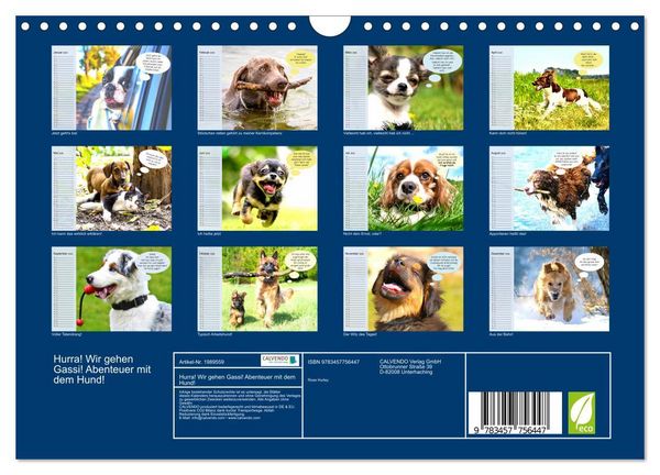 Produktbild: Hurra! Wir gehen Gassi! Abenteuer mit dem Hund! (Wandkalender 2026 DIN A4 quer), CALVENDO Monatskalender