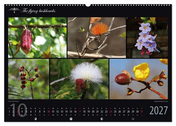 Produktbild: Costa Rica Blickwinkel 2027 (Wandkalender 2027 DIN A2 quer), CALVENDO Monatskalender