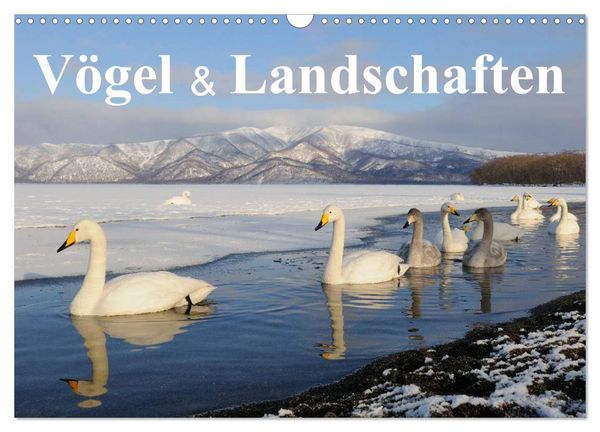 Vögel & Landschaften (Wandkalender 2026 DIN A3 quer), CALVENDO Monatskalender