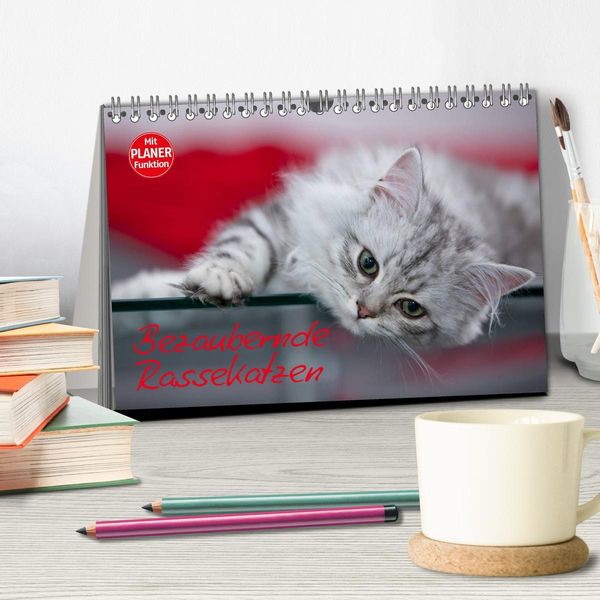 Produktbild: Bezaubernde Rassekatzen (Tischkalender 2026 DIN A5 quer), CALVENDO Monatskalender