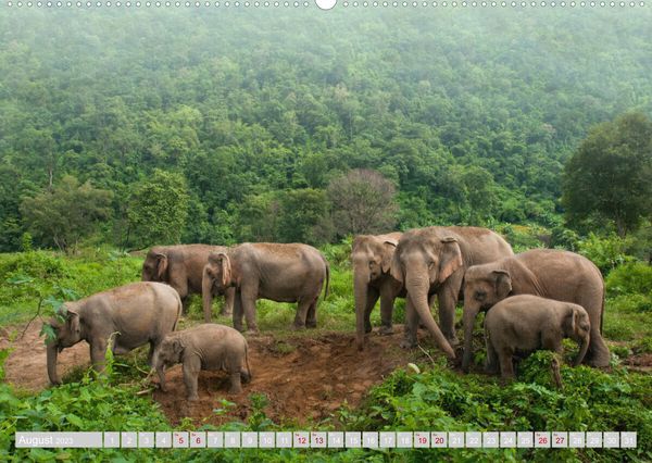 THAILAND - LAND of Smiles - 2026 - Kalender DIN A3 | GP-Fever. de