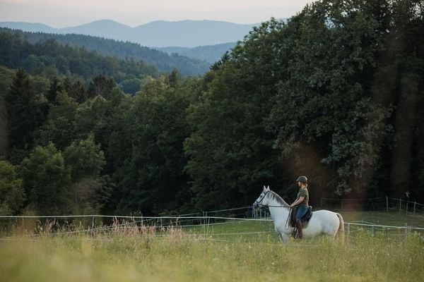 Einfach (An)Reiten