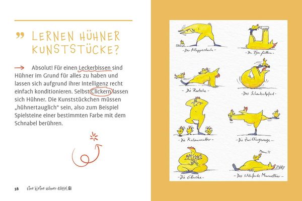 Produktbild: Eine kleine H&uuml;hner-R&auml;tselEI