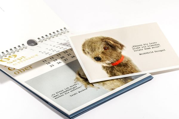 Produktbild: Verbl&uuml;ffende Wahrheiten &ndash; Postkartenkalender 2027