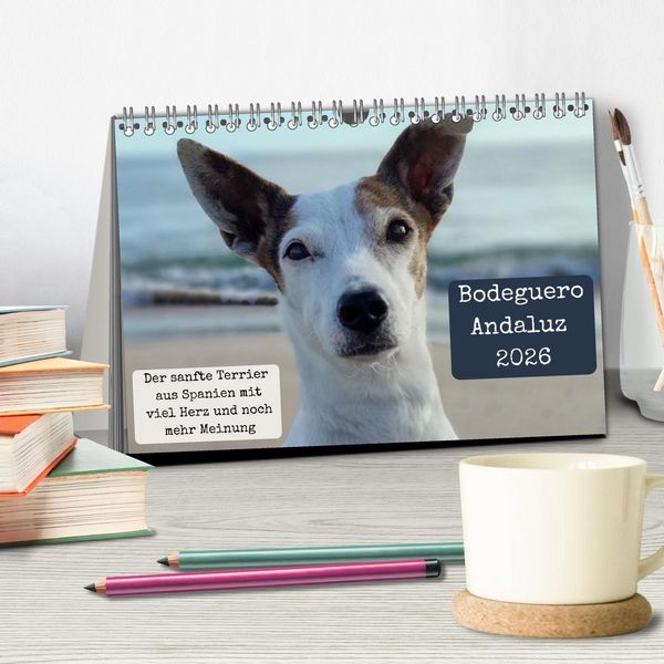 Produktbild: Ratonero Bodeguero Andaluz (Tischkalender 2026 DIN A5 quer), CALVENDO Monatskalender