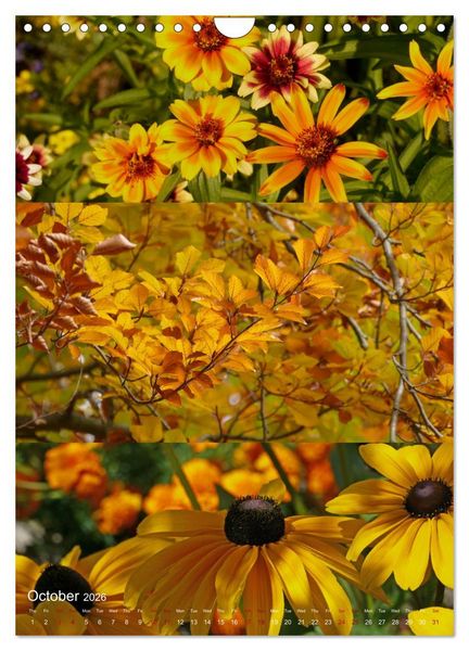 Produktbild: Colours of the Year (Wall Calendar 2026 DIN A4 portrait), CALVENDO 12 Month Wall Calendar