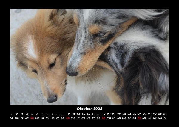 Produktbild: Hundezauber 2025 Fotokalender DIN A3