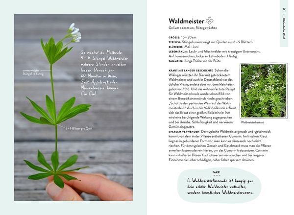 Produktbild: Nature Guide Wildpflanzen