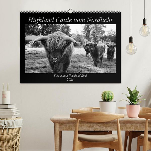 Produktbild: Highland Cattle vom Nordlicht - Faszination Hochland Rind (Wandkalender 2026 DIN A2 quer), CALVENDO Monatskalender