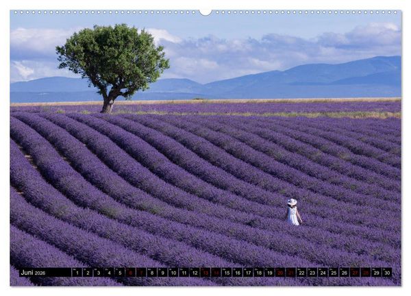 Produktbild: Provence im Rausch der Farben (Wandkalender 2026 DIN A2 quer), CALVENDO Monatskalender