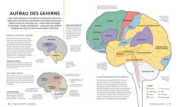 Produktbild: So bleibt Ihr Gehirn fit