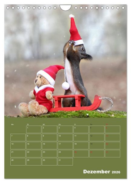 Produktbild: Eichh&ouml;rnchen - Abenteuer mit Freund Teddy (Wandkalender 2026 DIN A4 hoch), CALVENDO Monatskalender