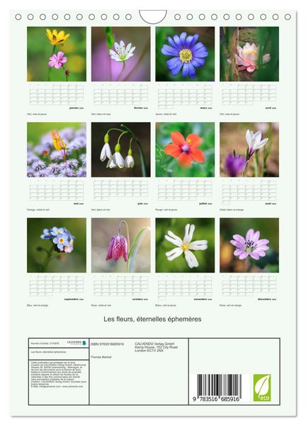 Produktbild: Les fleurs, &eacute;ternelles &eacute;phem&egrave;res (Calendrier mural 2026 DIN A4 horizontal), CALVENDO calendrier mensuel