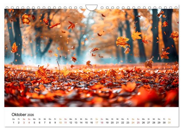 Produktbild: Natur im Jahr (Wandkalender 2026 DIN A4 quer), CALVENDO Monatskalender