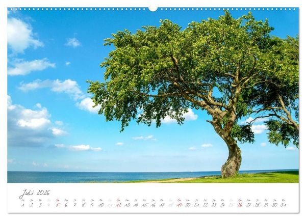 Produktbild: "Landarzt" - Pl&auml;tze an Schlei und Ostsee (Wandkalender 2026 DIN A2 quer), CALVENDO Monatskalender
