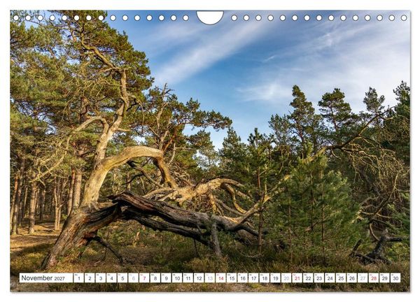 Produktbild: Mecklenburg-Vorpommern - Fischland-Dar&szlig;-Zingst (Wandkalender 2027 DIN A4 quer), CALVENDO Monatskalender