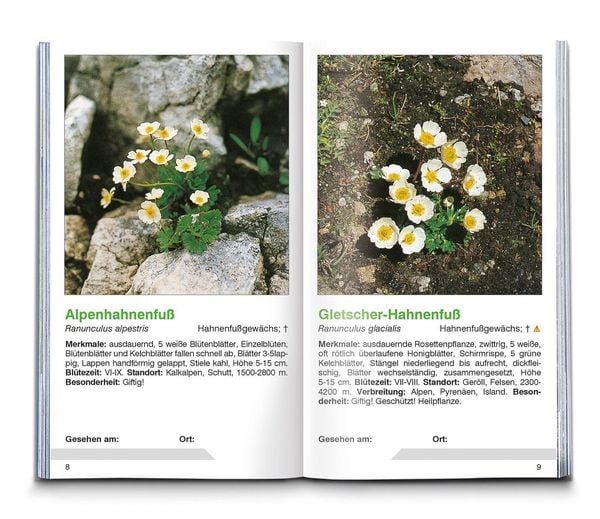 Produktbild: Alpenblumen