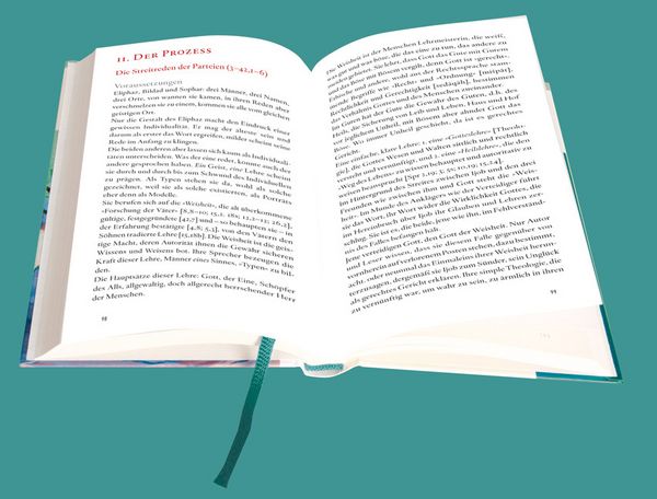Produktbild: Das Buch Ijob