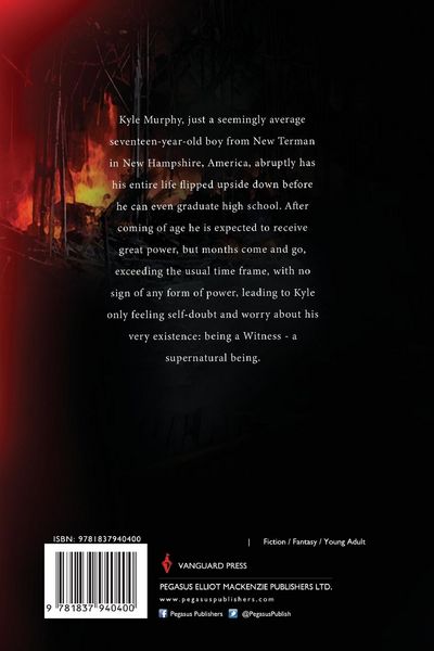 Produktbild: Witness