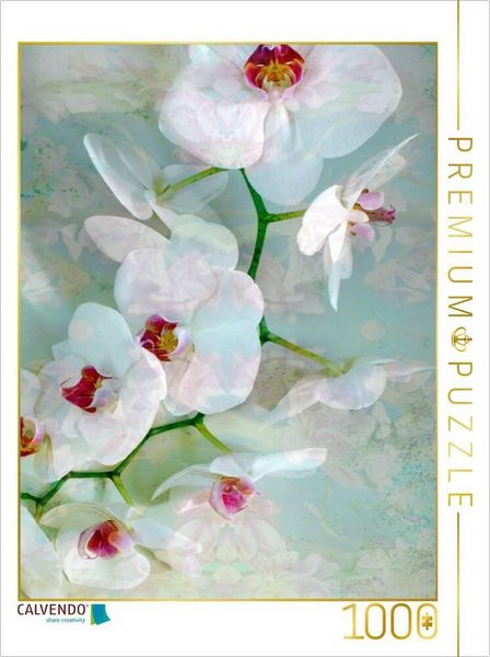 Produktbild: CALVENDO Puzzle Wei&szlig; Blaue Orchidee | 1000 Teile Lege-Gr&ouml;&szlig;e 64x48cm Foto-Puzzle f&uuml;r gl&uuml;ckliche Stunden