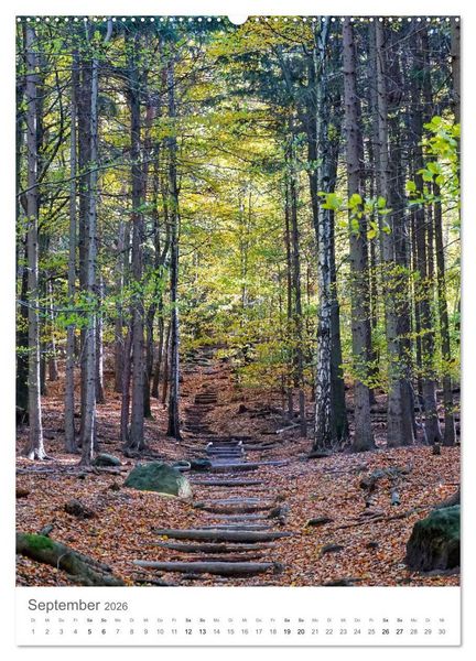 Produktbild: Wald - bezaubernde Landschaften (Wandkalender 2026 DIN A2 hoch), CALVENDO Monatskalender