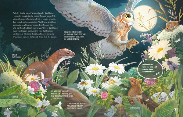 Produktbild: Was schleicht durch die Nacht?