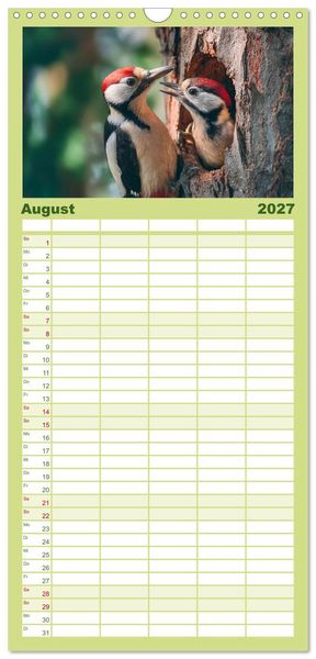Produktbild: Familienplaner 2027 - Waldgefl&uuml;ster mit 5 Spalten (Wandkalender, 21 x 45 cm) CALVENDO