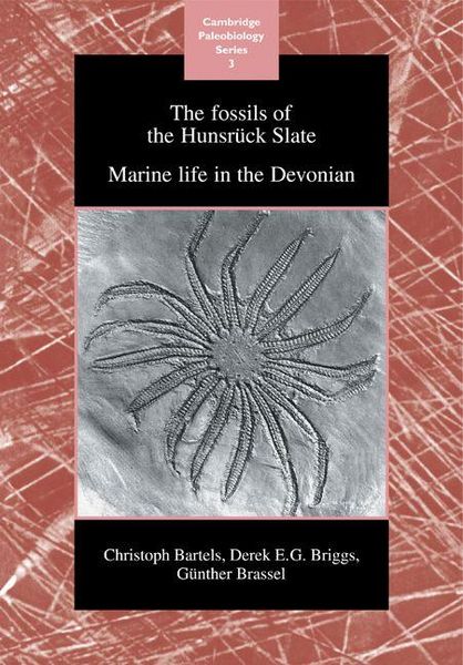 Produktbild: The Fossils of the Hunsruck Slate