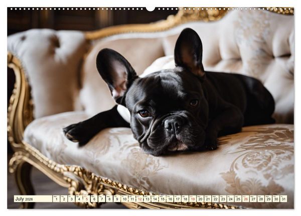 Produktbild: Little kings - French Bulldogs (Wall Calendar 2026 DIN A2 landscape), CALVENDO 12 Month Wall Calendar