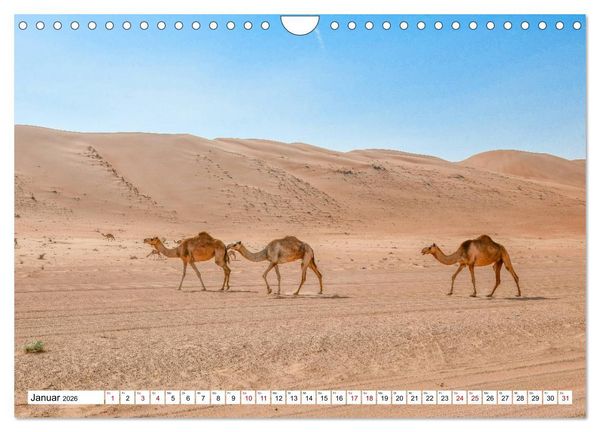 Produktbild: Oman - Perle des Orients (Wandkalender 2026 DIN A4 quer), CALVENDO Monatskalender