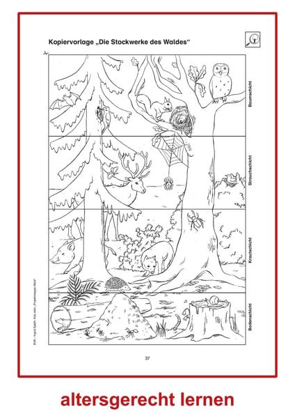 Produktbild: Kita aktiv Projektmappe Wald