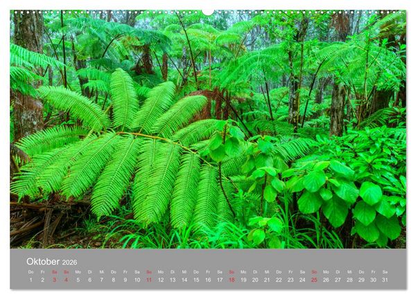 Produktbild: SPIRIT OF HAWAII (Wandkalender 2026 DIN A2 quer), CALVENDO Monatskalender