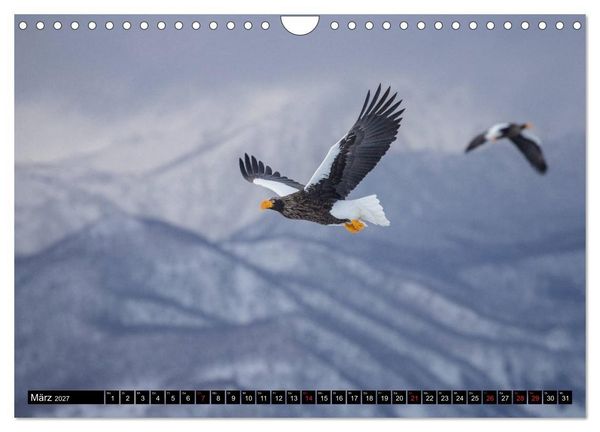 Produktbild: Japanische Vogelwelt im Winter (Wandkalender 2027 DIN A4 quer), CALVENDO Monatskalender