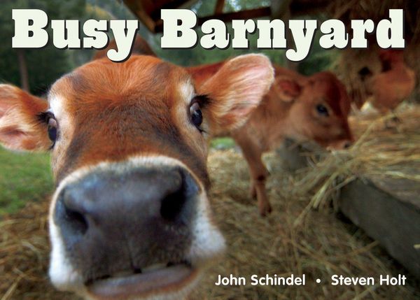 Produktbild: Busy Barnyard