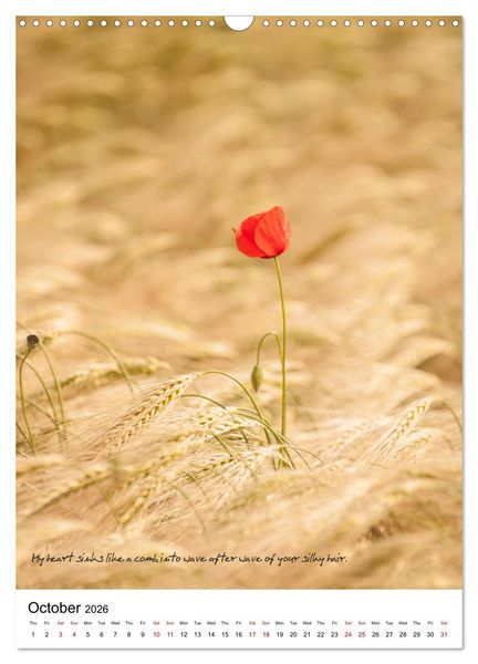 Produktbild: Rumi in Love (Wall Calendar 2026 DIN A3 portrait), CALVENDO 12 Month Wall Calendar