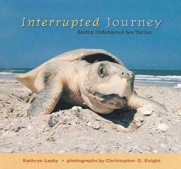 Produktbild: Interrupted Journey
