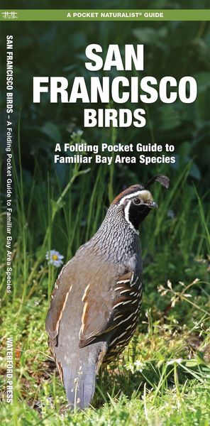 Produktbild: San Francisco Birds