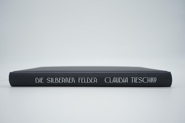 Produktbild: Die silbernen Felder