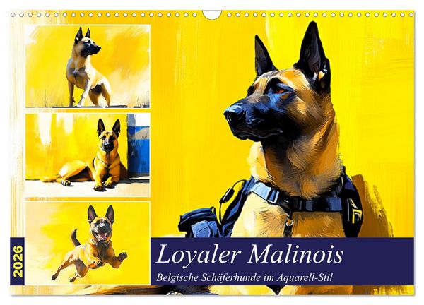 Produktbild: Loyaler Malinois. Belgische Sch&auml;ferhunde im Aquarell-Stil (Wandkalender 2026 DIN A3 quer), CALVENDO Monatskalender