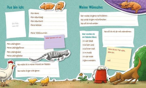 Produktbild: Die Gr&uuml;nen Piraten &ndash; Meine Freunde