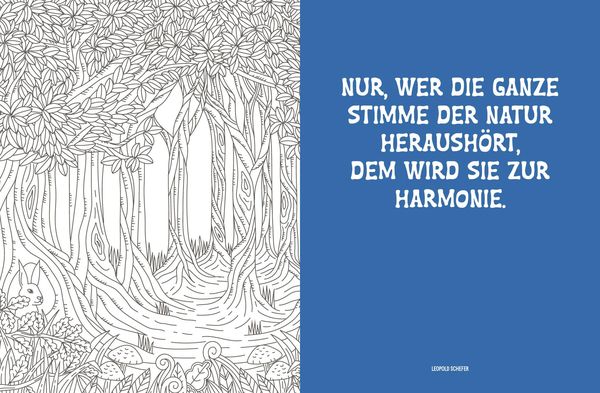 Produktbild: Colorful Mandala &ndash; Mandala &ndash; Spaziergang durch die Natur