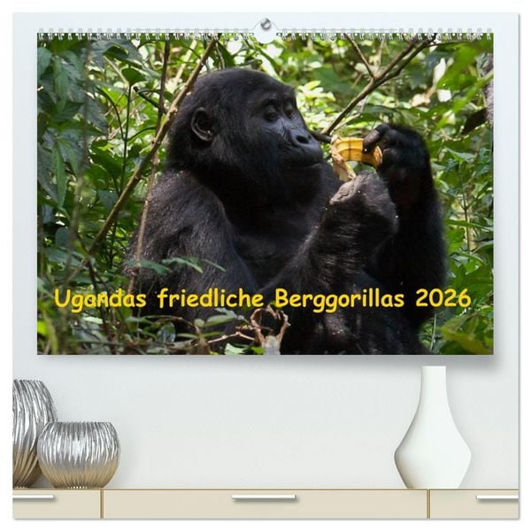 Produktbild: Ugandas friedliche Berggorillas (hochwertiger Premium Wandkalender 2026 DIN A2 quer), Kunstdruck in Hochglanz