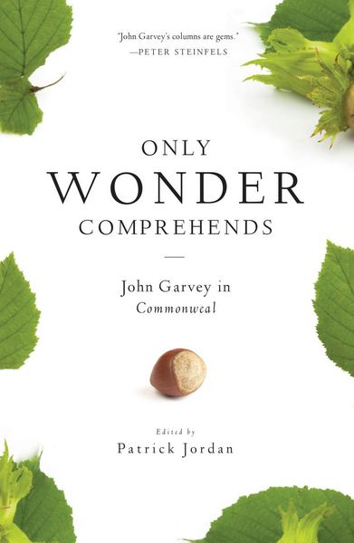 Produktbild: Only Wonder Comprehends