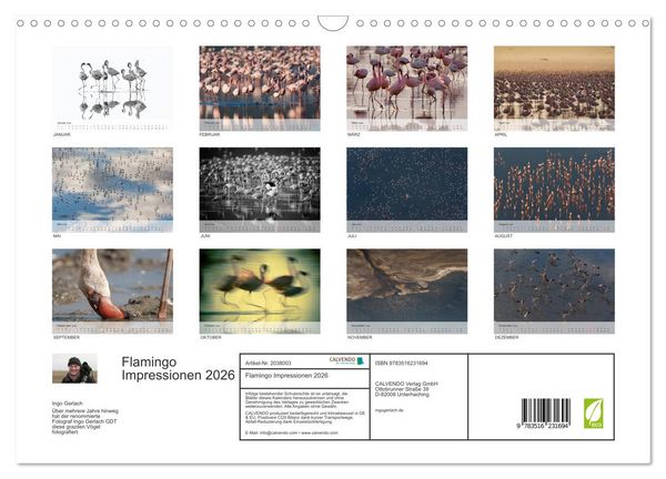 Produktbild: Flamingo Impressionen 2026 (Wandkalender 2026 DIN A3 quer), CALVENDO Monatskalender