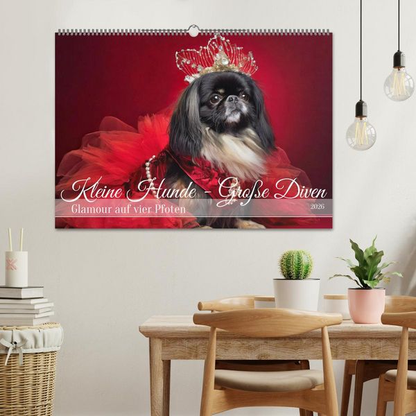 Produktbild: Kleine Hunde - Gro&szlig;e Diven (Wandkalender 2026 DIN A2 quer), CALVENDO Monatskalender