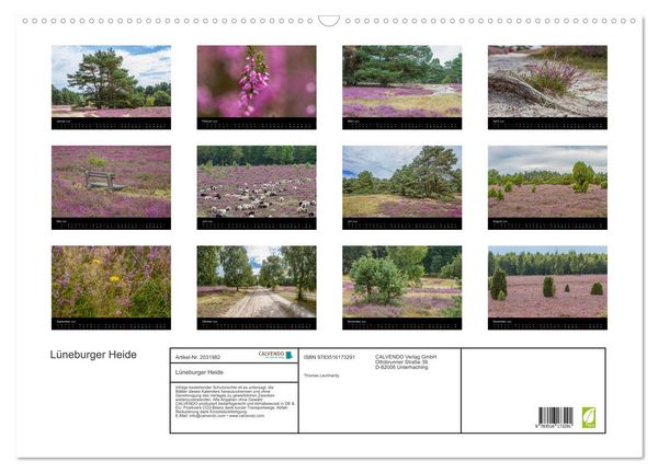 Produktbild: L&uuml;neburger Heide (Wandkalender 2026 DIN A2 quer), CALVENDO Monatskalender