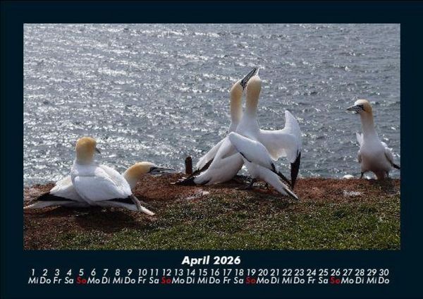Produktbild: Seeblick 2026 Fotokalender DIN A5