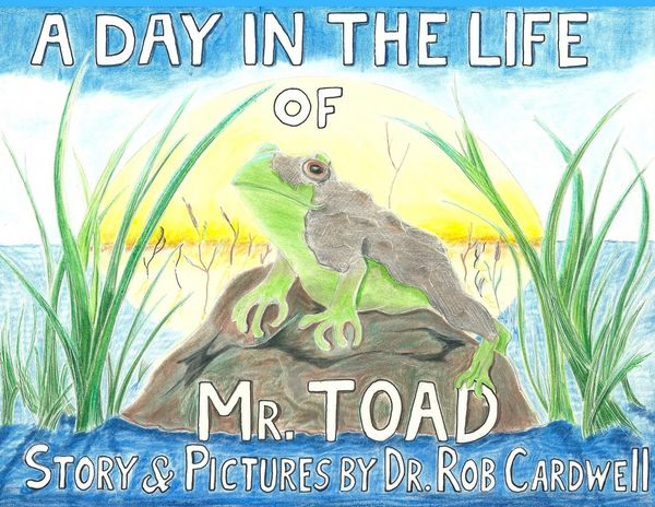 Produktbild: A Day in the Life of Mr. Toad